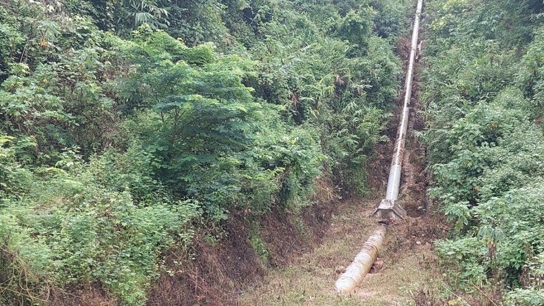 Cây cỏ chết hàng loạt quanh đường ống dẫn nước của Nhà máy thủy điện Nậm Khẩu Hu.