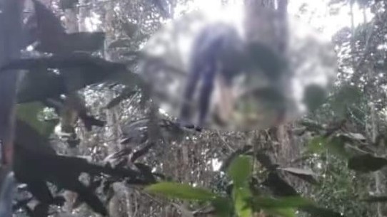 Hé lộ nguyên nhân người đàn ông tử vong khi bắt ong rừng ở Yên Bái