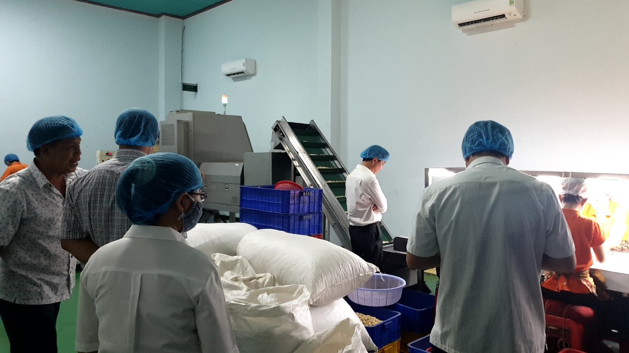 Bình Thuận: Truy nguyên nhân vụ 51 khách du lịch bị ngộ độc thực phẩm