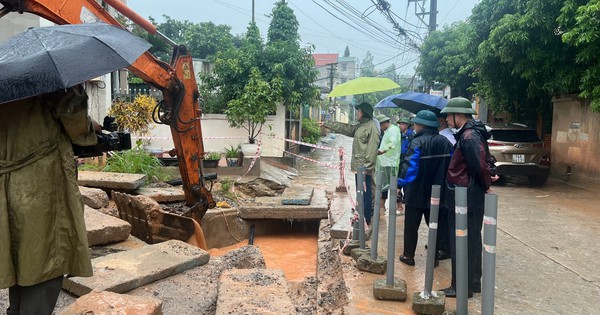 Bão số 2 đổ bộ: Quảng Ninh, Hải Phòng mưa lớn, nhiều cây xanh gãy đổ