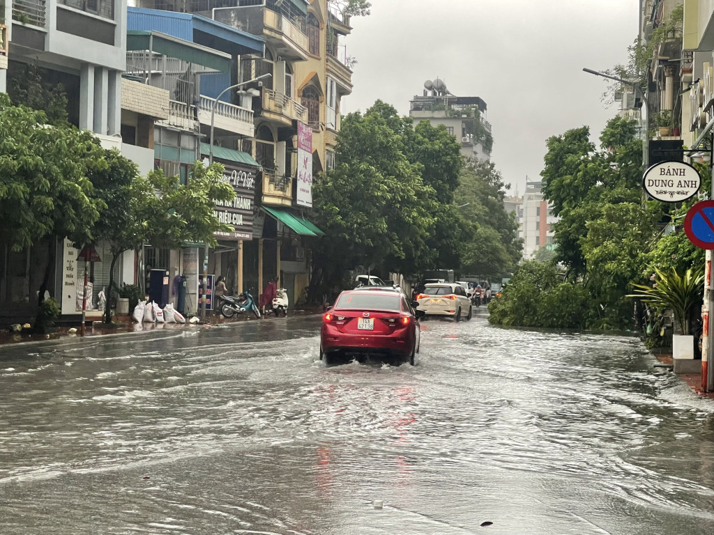 Bão số 2 đổ bộ: Quảng Ninh, Hải Phòng mưa lớn, nhiều cây xanh gãy đổ