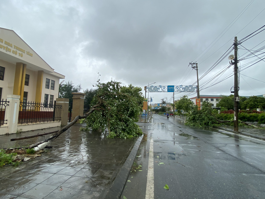 Bão số 2 đổ bộ: Quảng Ninh, Hải Phòng mưa lớn, nhiều cây xanh gãy đổ