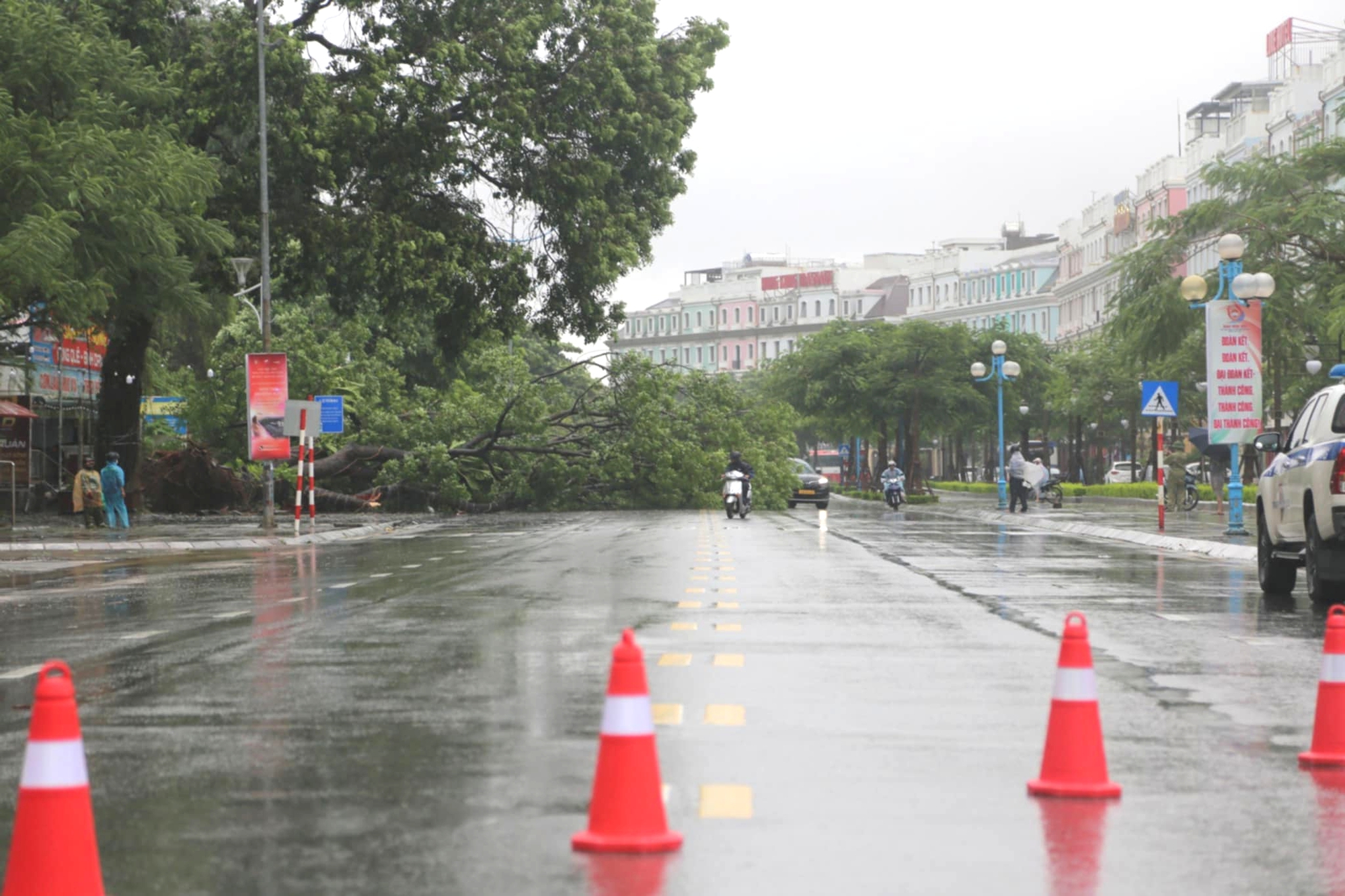 Cận cảnh cây đổ, phố ngập, đường sạt lở ở Quảng Ninh sau bão số 2