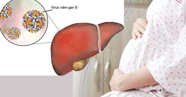 Virus viêm gan B ảnh hưởng đến thai phụ ra sao?