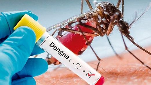 Sốt xuất huyết tăng 3 lần, đã có 50 người chết