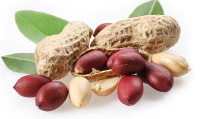 Công dụng kỳ diệu khi mỗi ngày ăn vài hạt lạc