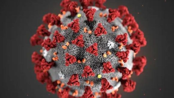 Cảnh báo mới của các nhà khoa học TQ về Covid-19