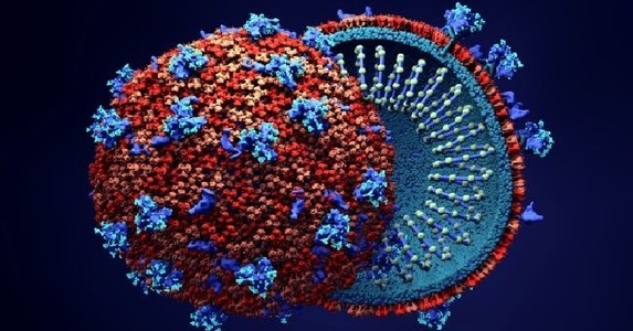 Cách thức nCoV lây truyền