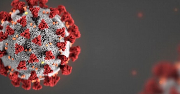 Phát hiện nhiều biến thể của nCoV