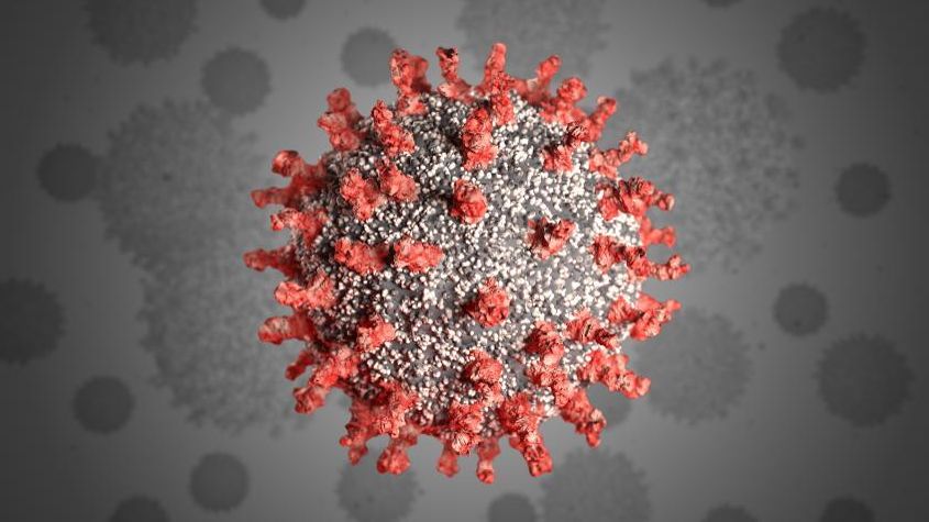 Virus corona gây đại dịch Covid-19 từ tự nhiên, không phải sản phẩm phòng thí nghiệm
