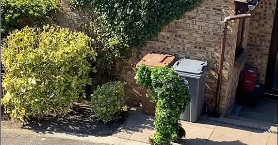 Trốn cách ly Covid-19, người đàn ông Anh hóa trang thành bụi cây xanh mướt