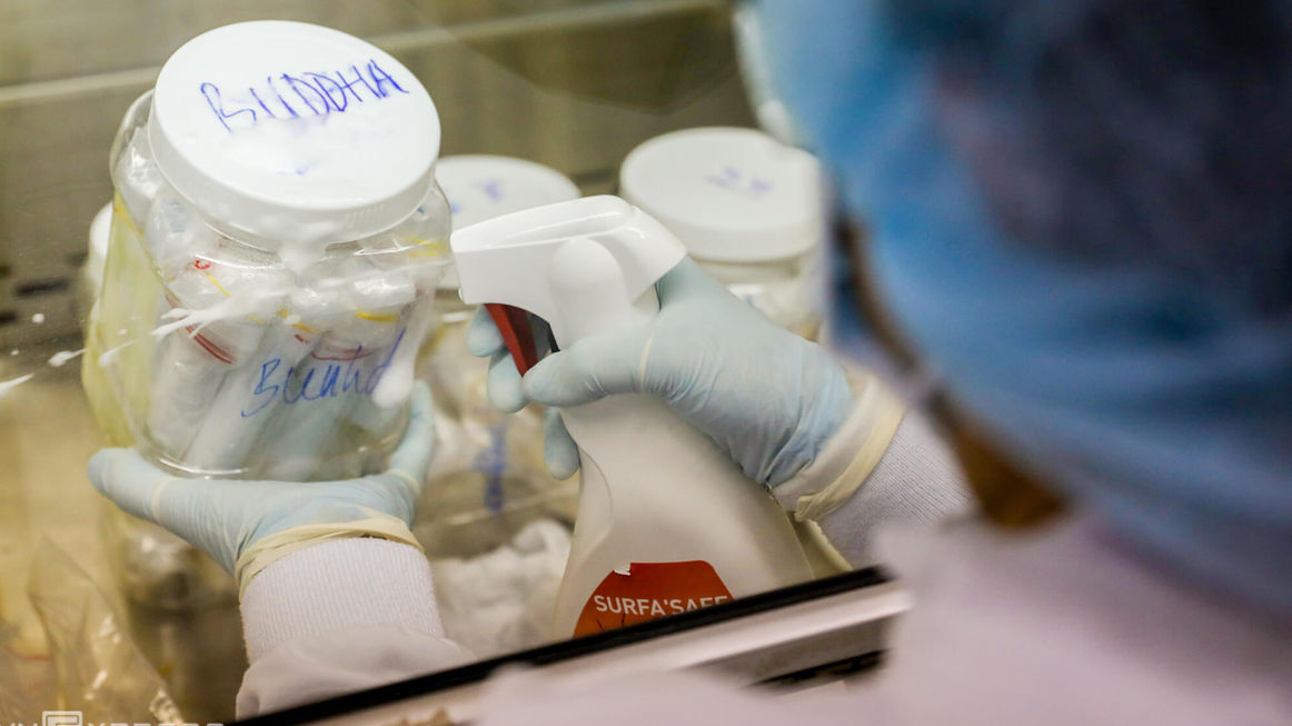 Tiến trình xét nghiệm nCoV