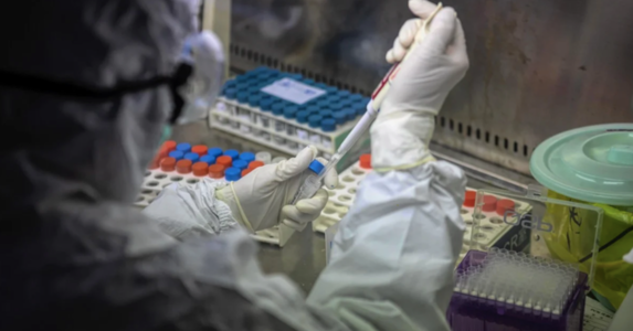 Tìm ra phả hệ của nCoV