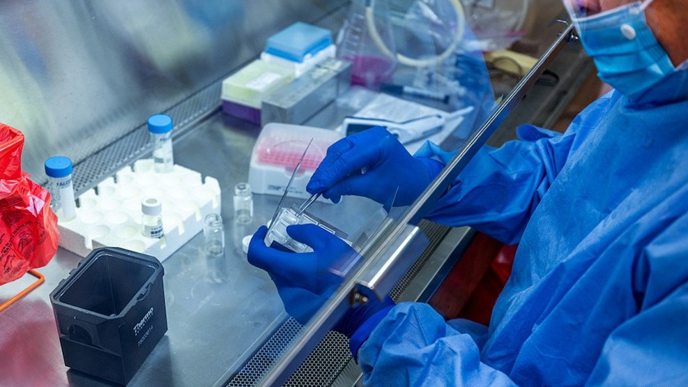 WSJ: Achievements in COVID-19 fight enhance Vietnam’s prestige