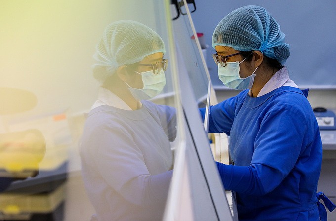 Kỹ thuật viên xét nghiệm mẫu bệnh phẩm Covid-19 tại Việt Nam. Ảnh: Quỳnh Trần.