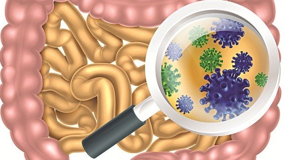 Vi khuẩn: Tổng quan, tác dụng và hiệu quả