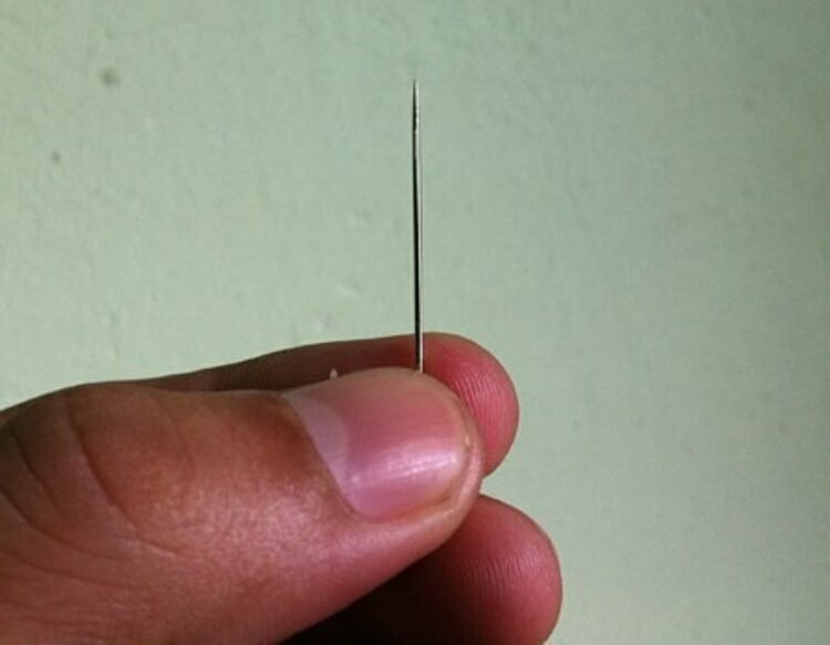 Cây kim nhỏ đâm thủng gan, dạ dày