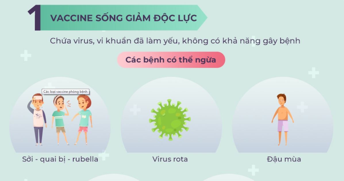 Các loại vaccine phòng bệnh