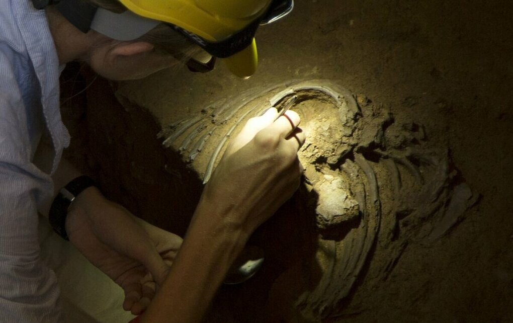 Một nhà nghiên cứu khai quật được hài cốt người Neanderthal, năm 2019. Ảnh: NY Times