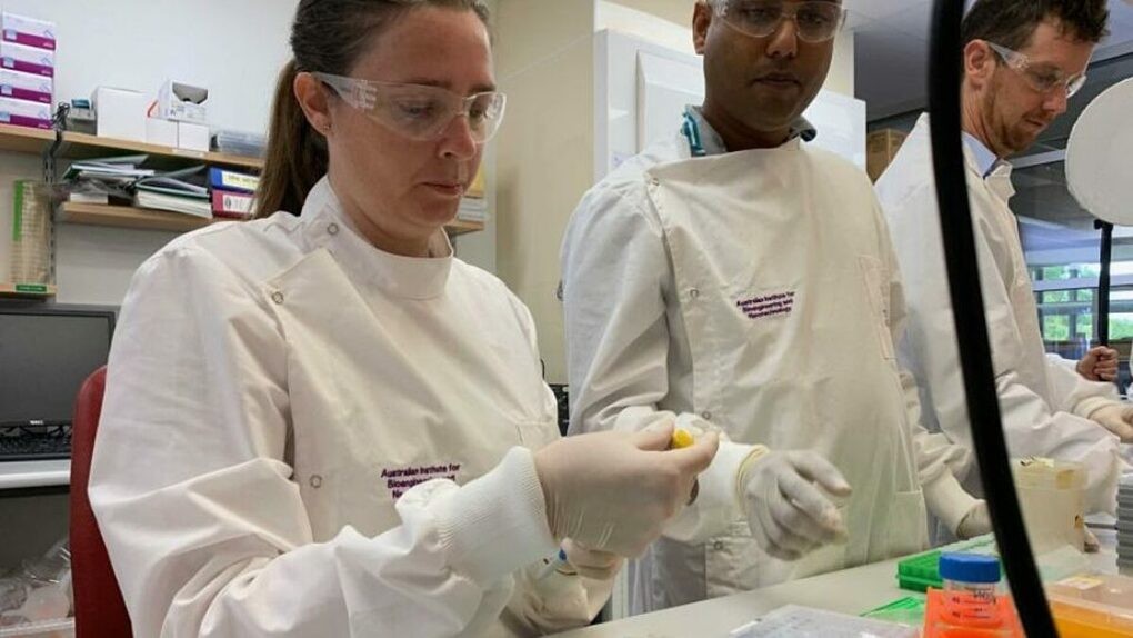 Vaccine Covid-19 đang ở đâu?