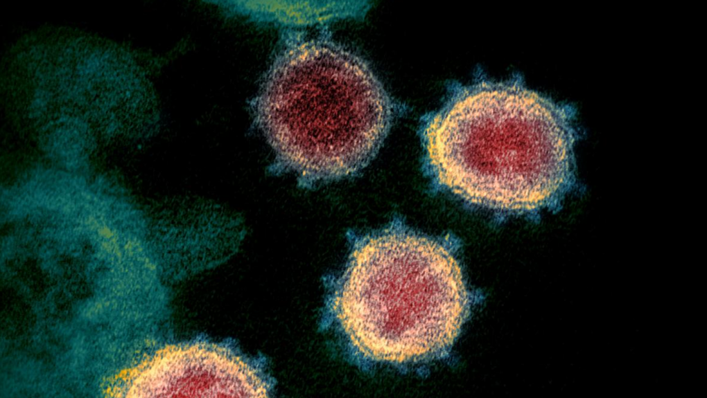 Vaccine Mỹ hiệu quả trên biến chủng nCoV