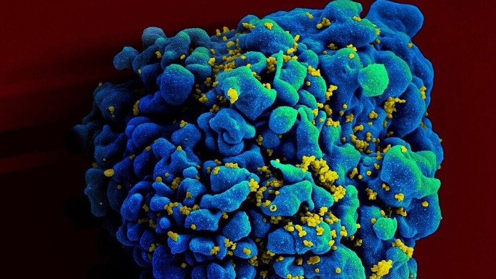 Những người tự 'giam giữ' virus HIV