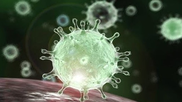 Chủng mới của virus nCoV xuất hiện ở 1.000 người bệnh