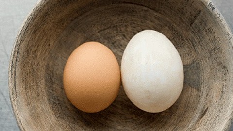 Lý do trứng vịt tốt hơn trứng gà
