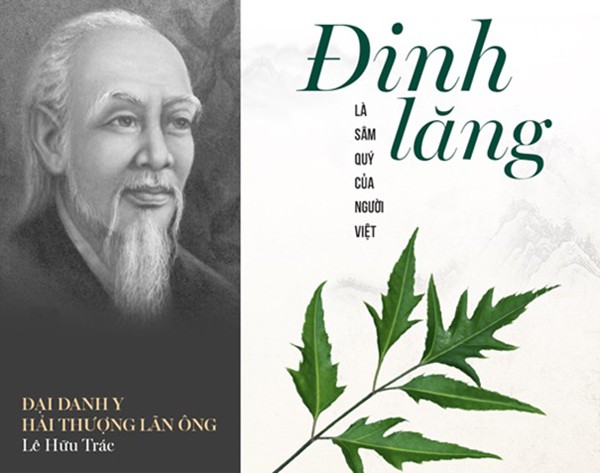 Danh y Hải Thượng Lãn Ông ví Đinh Lăng là sâm của người Việt