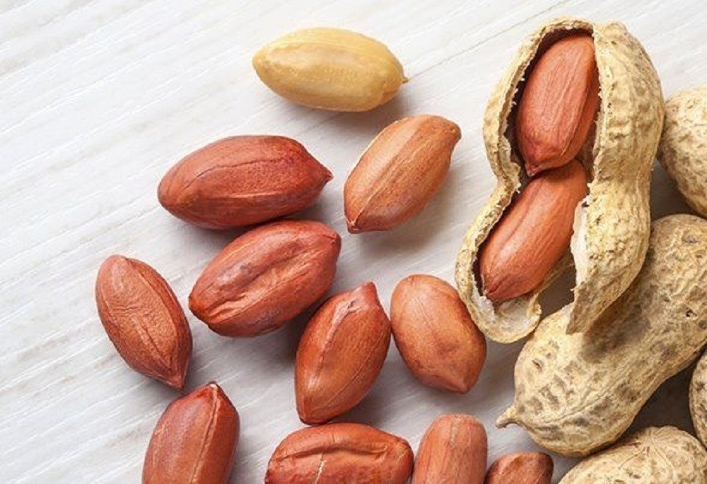 Hạt lạc là dị vật rất thường gặp trong các ca hóc dị vật đường thở - Hình minh họa: daraz.pk