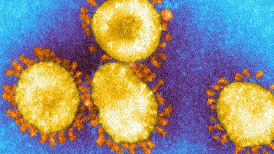 Biến thể nCoV mới từ Anh lẩn tránh kháng thể người