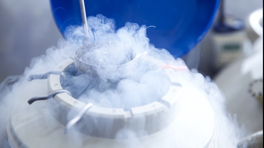 Trung Quốc cấm phụ nữ độc thân đông lạnh trứng