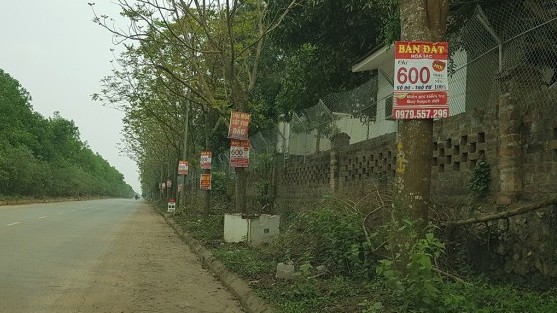 Hết “sốt” ảo, đất ven đô Hà Nội dần hạ nhiệt