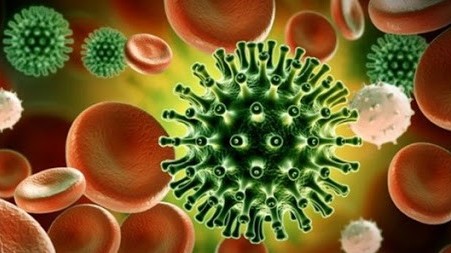 Việt Nam xuất hiện thêm 2 biến chủng SARS-CoV-2