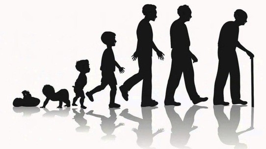 CON NGƯỜI CÓ THỂ SỐNG BAO LÂU?