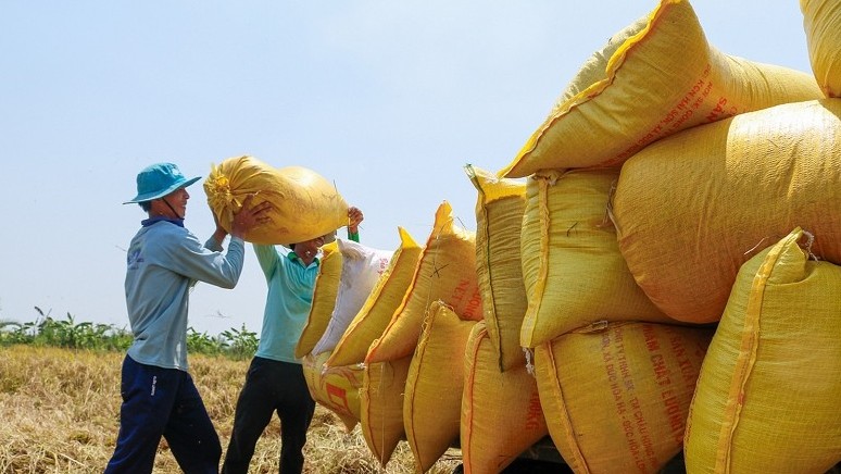 Bảo đảm sản xuất và cung ứng nông sản trong dịch Covid-19