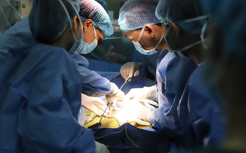 Các bác sĩ tiến hành ghép gan cho cháu bé. (Ảnh: BVCC)