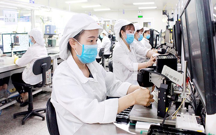 Khống chế, kiểm so&aacute;t dịch để ph&aacute;t triển sản xuất