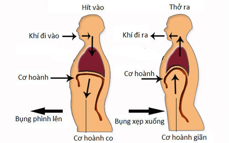 Bệnh nh&acirc;n Covid-19 trong giai đoạn phục hồi cần lưu &yacute; g&igrave;?