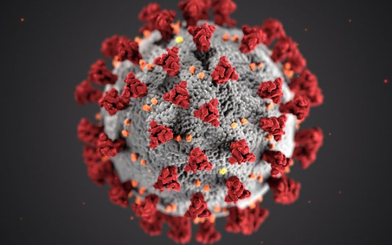 Virus Corona. (Ảnh minh họa: CDC)