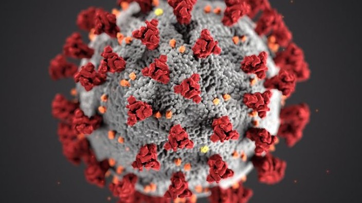 Phát hiện dơi ở Lào mang virus có đặc tính giống SARS-CoV-2