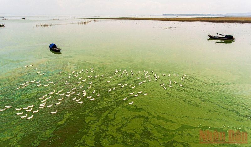 Amazing beauty of Ben Nom in dry season