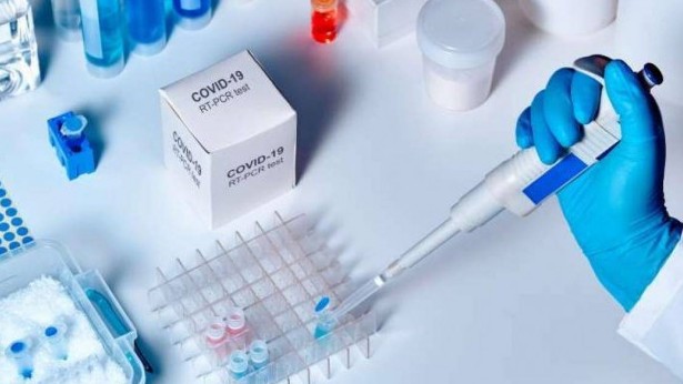 Vụ CDC Bình Phước: Xin trả "quà" có được xem là tình tiết giảm nhẹ? Quang Phương Quang Phương