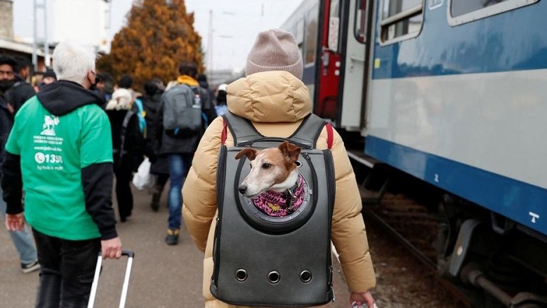 WHO cảnh báo căng thẳng tại Ukraine khiến đại dịch Covid-19 trầm trọng hơn