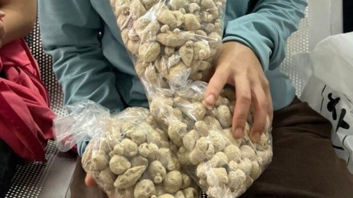 “Tam thất nam chữa trào ngược dạ dày” được giới thiệu chữa dứt điểm bệnh dạ dày