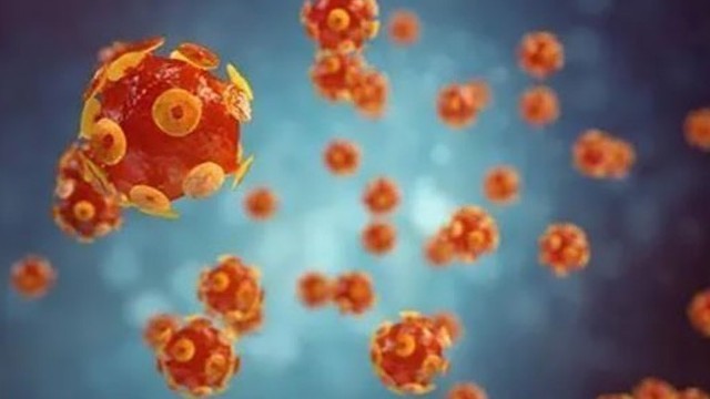 Hình ảnh mô phỏng virus gây bệnh viêm gan. (Ảnh: Getty Images/TTXVN)