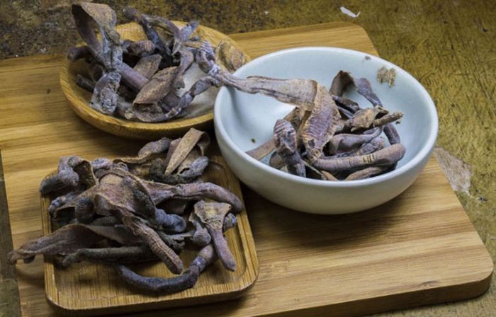 Vị thuốc địa long - Ảnh minh họa