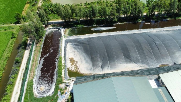 Người dân địa phương cho rằng khi nước sông được rút đồng nghĩa với việc Công ty TNHH Trường Thịnh sẽ xả thẳng nước ra sông