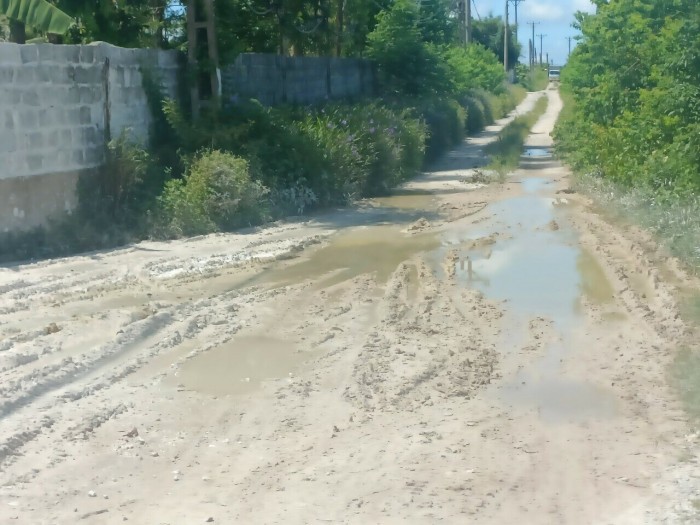 Trang trại lợn không đảm bảo vệ sinh môi trường, nước thải tràn ra phía cổng trước khiến con đường 26/3 của thôn Lộc Ninh đi lại, sản xuất khó khăn
