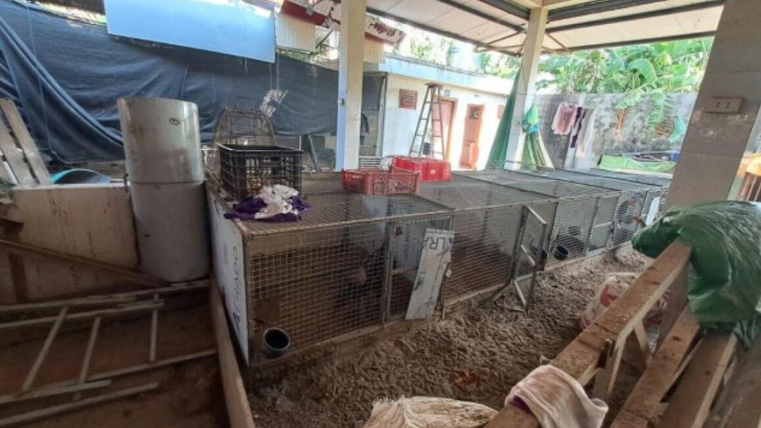 Nghịch lý chợ mới bỏ hoang, dân đổ ra đường họp chợ ở Hải Phòng